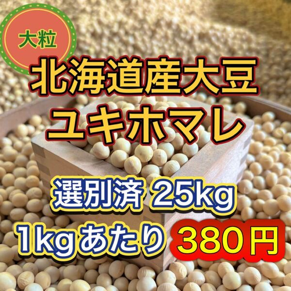大人気 北海道産 大豆 25kg 匿名配送 自家製 味噌 納豆 豆腐 豆乳