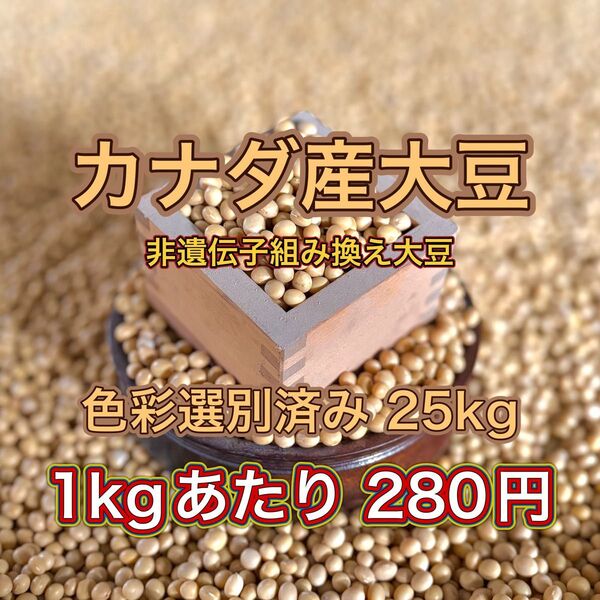 令和5年産 大豆 25kg カナダ産 色彩選別済み