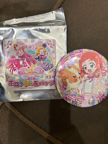わんだふるぷりきゅあ ホログラム缶バッジ いろは こむぎ
