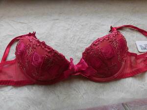 リズシャルメル、LISE　CHARMEL　FANTASME A DEAUX　７０B(FR85B)パデッドブラ