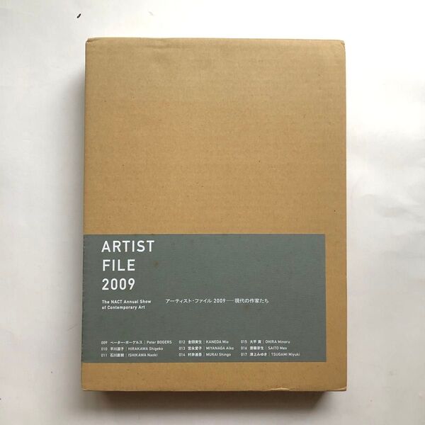 国立新美術館 アーティスト・ファイル2009 現代の作家たち 図録 現代アート
