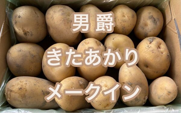 徳島県産 新じゃが 3種食べ比べ1.5キロ