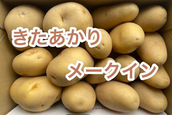 徳島県産 新じゃが食べ比べ 1.5キロ