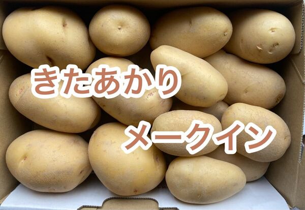 徳島県産 新じゃが食べ比べ 1.5キロ