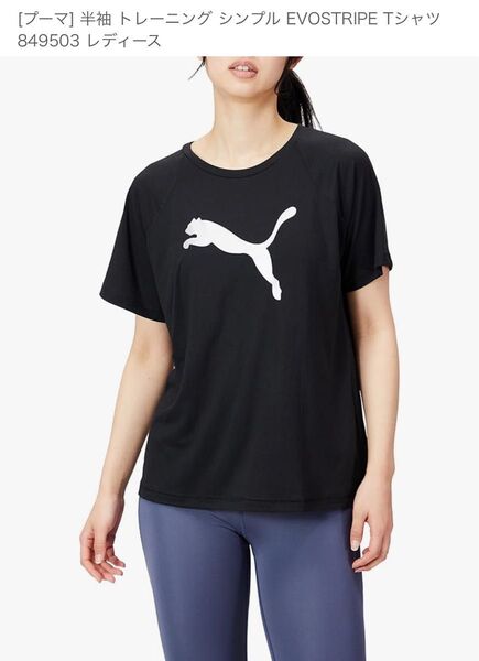 新品未使用 PUMA プーマトレーニングTシャツ M