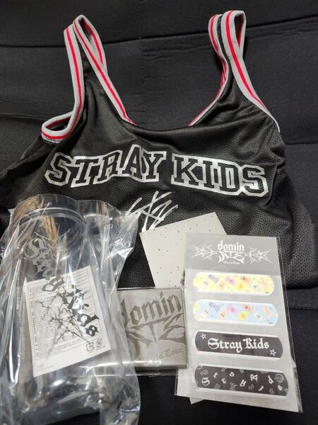 straykids スキズ アプグレ グッズ VIP dominate エコパ スタジアム
