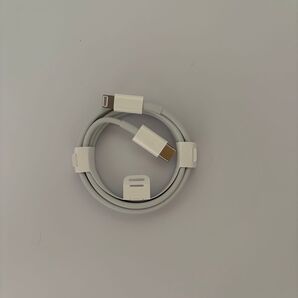 Apple純正ケーブル ライトニングーType-C