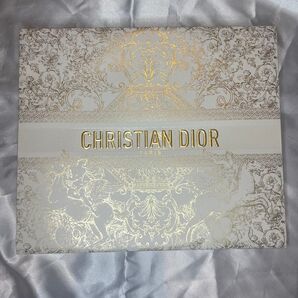 Dior クリスマス限定ショッパーホリデー2024 限定デザイン 紙袋 ギフトバッグ