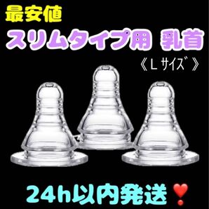 ピジョン スリムタイプ 乳首 代替品 Lサイズ(2個)