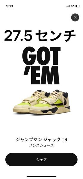Travis Scott × Nike Jordan Jumpman サイズ27.5