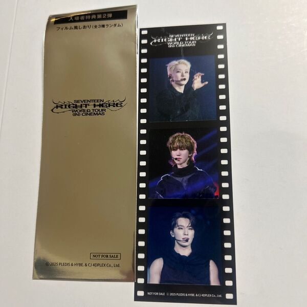 SEVENTEEN RIGHTHERE 映画 入場特典 パフォチ