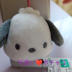 *可愛いサンリオのポチャコ*手のひらサイズぬいぐるみマスコットストラップ付き(*^^*) 24H以内発送可能です!!