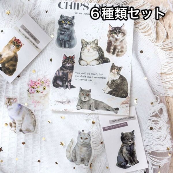 猫の鳴き声 ネコ ねこ 猫 シール 素材 コラージュ フレークシール PET 6点セット【P20】