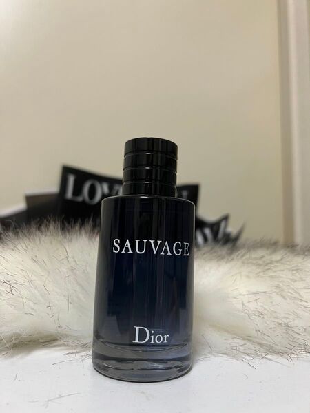 DIOR SAUVAGE EDT ソヴァージュ オトードトワレ10ML 香水