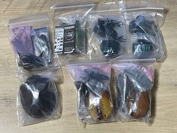 6個セット いきもの大図鑑 アドバンス ゾウカブトとヘラクレスオオカブト かぶとむし