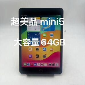 iPad mini 5 64GB 超美品