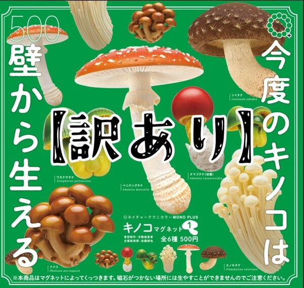 【訳あり②】ネイチャーテクニカラー MONO PLUS キノコマグネット1 全6種セット