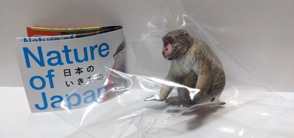 【訳あり】ネイチャテクニカラー Nature of Japan 日本のいきもの 1 ニホンザル