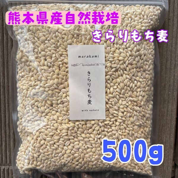 熊本県産きらりもち麦自然栽培無農薬500g