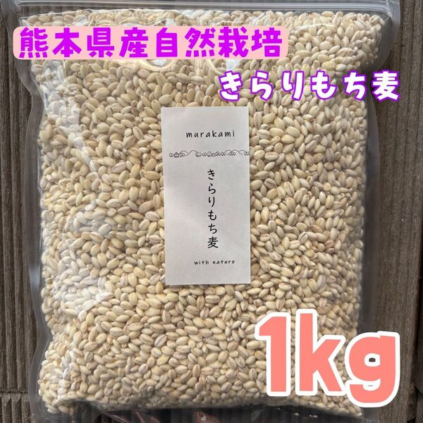 熊本県産きらりもち麦自然栽培無農薬 1kg