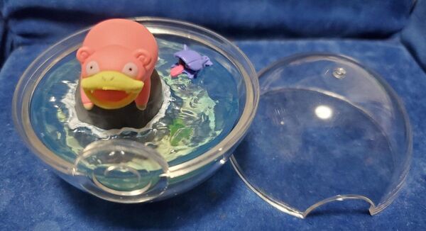 ヤドン シェルダー テラリウム リーメント ポケモン フィギュア