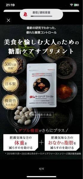 ターミナリアファースト 【新品未開封】 120粒入 賞味期限2027年4月 ビタブリッドジャパン 値下げ不可