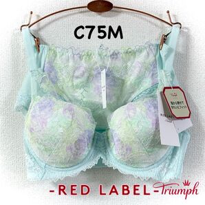 トリンプ レッドレーベル 0101 モダンアート C75M