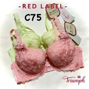 トリンプ レッドレーベル 0084コスモスの花 C75 2枚セット