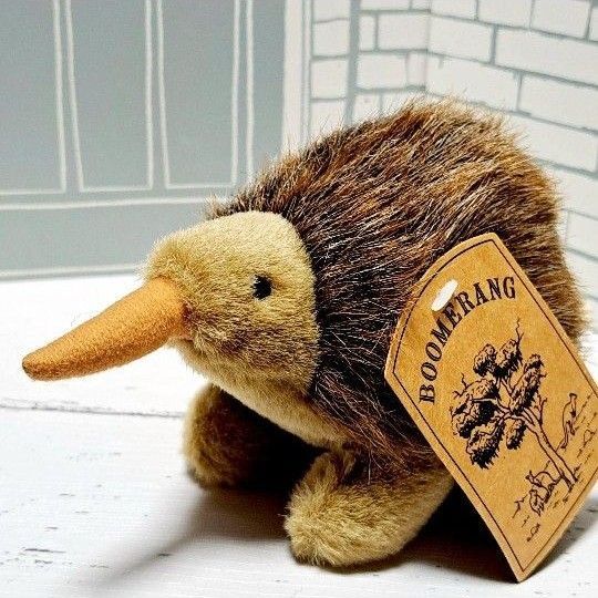オーストラリアお土産 ハリモグラぬいぐるみ 希少