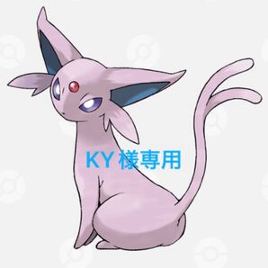 KY様専用出品