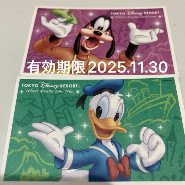 東京ディズニーリゾート パスポート ディズニーランド ディズニーシー 2枚 ペアチケット