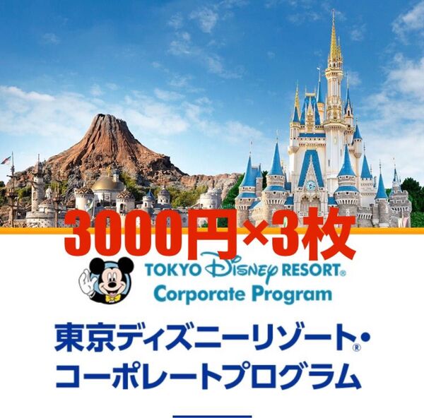 東京ディズニーリゾート コーポレートプログラム 利用券 3000円×3枚 ディズニーシー ディズニーランド 早い者勝ち