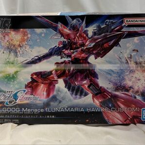 HG ゲルググメナース ルナマリア・ホーク専用機 未組立