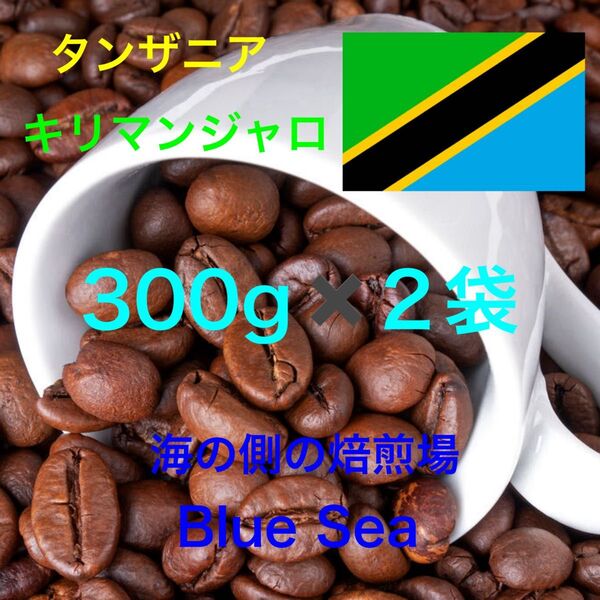 【自家焙煎コーヒー豆】タンザニア産 キリマンジャロ 600g(200g×2袋) 注文後焙煎