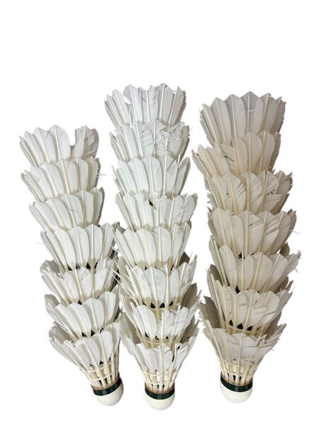 YONEX バドミントンシャトル 22個セット