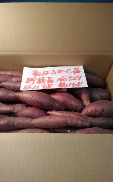 超お得!! 訳あり☆限定品☆ねっとり甘い貯蔵品紅はるかC品約10Kg です。 サツマイモ 千葉県産 べにはるか