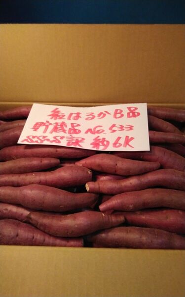 超お得!! 訳あり☆限定品☆ねっとり甘い貯蔵品紅はるかB品目一杯詰めて6Kです。