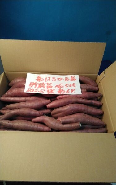 超お得!! 訳あり☆限定品☆ねっとり甘い貯蔵品紅はるかB品目一杯詰めて6Kです。 千葉県産 べにはるか サツマイモ