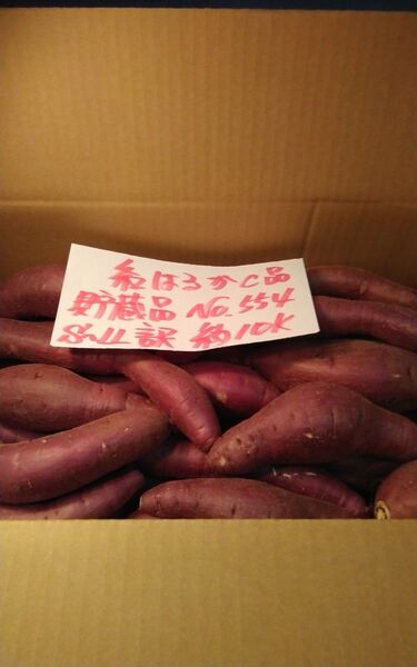 超お得!! 訳あり☆限定品☆ねっとり甘い貯蔵品紅はるかC品約10Kg です。 サツマイモ 千葉県産 べにはるか 10㎏