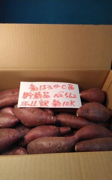超お得!! 訳あり☆限定品☆ねっとり甘い貯蔵品紅はるかC品約10Kg です。 サツマイモ 千葉県産 べにはるか