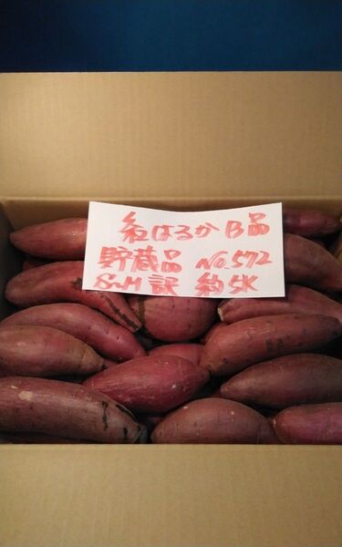 超お得!! 訳あり☆限定品☆ねっとり甘い貯蔵品紅はるかB品約5Kgです。 千葉県産 サツマイモ べにはるか 約5Kg