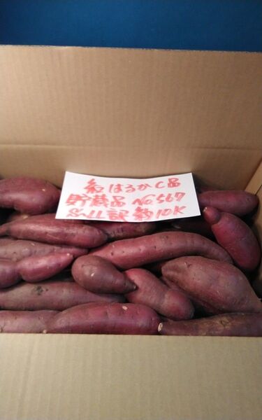 超お得!! 訳あり☆限定品☆ねっとり甘い貯蔵品紅はるかC品約10Kg です。 千葉県産 べにはるか サツマイモ