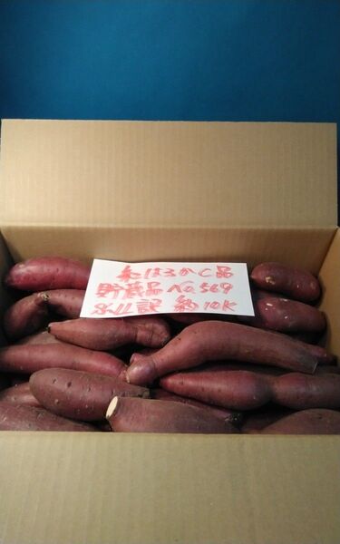 超お得!! 訳あり☆限定品☆ねっとり甘い貯蔵品紅はるかC品約10Kg です。 サツマイモ 千葉県産 べにはるか 貯蔵した千葉県産