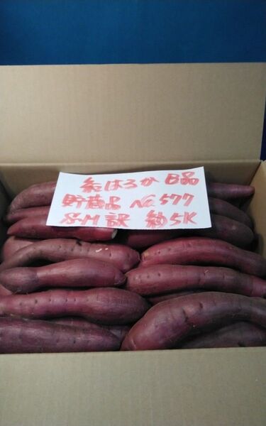 超お得!! 訳あり☆限定品☆ねっとり甘い貯蔵品紅はるかB品約5Kgです。 千葉県産 サツマイモ べにはるか