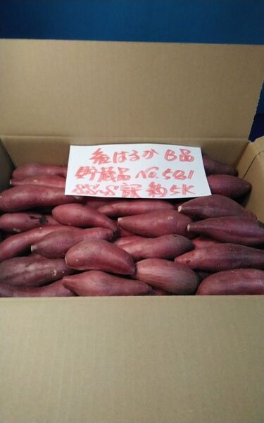 超お得!! 訳あり☆限定品☆ねっとり甘い貯蔵品紅はるかB品約5Kgです。 千葉県産 べにはるか サツマイモ