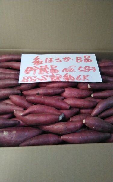 超お得!! 訳あり☆限定品☆ねっとり甘い貯蔵品紅はるかB品目一杯詰めて6Kです。 サツマイモ 千葉県産 べにはるか