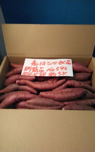 超お得!! 訳あり☆限定品☆ねっとり甘い貯蔵品紅はるかBC品約5Kg です。 さつまいも 千葉県産 べにはるか