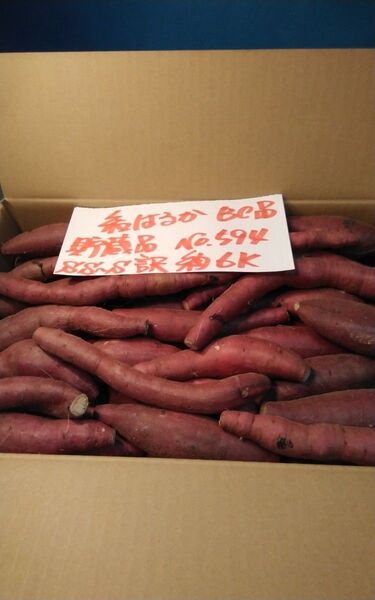 超お得!! 訳あり☆限定品☆ねっとり甘い貯蔵品紅はるかBC品目一杯詰めて6Kです。 サツマイモ 千葉県産 べにはるか