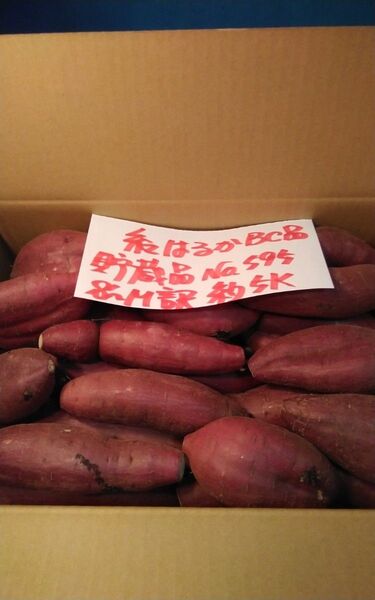 超お得!! 訳あり☆限定品☆ねっとり甘い貯蔵品紅はるかBC品約5Kg です。 べにはるか 千葉県産 サツマイモ