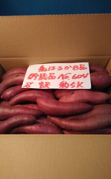 超お得!! 訳あり☆限定品☆ねっとり甘い貯蔵品紅はるかB品約5Kgです。 サツマイモ 千葉県産 べにはるか